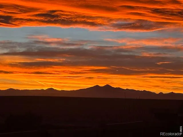 1593 Sierra Plaza Street Severance, CO 80550