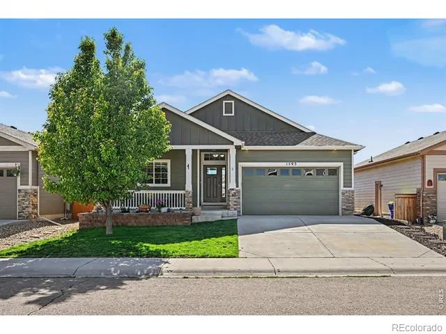 1593 Sierra Plaza Street Severance, CO 80550
