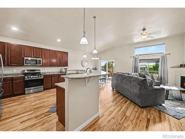 1593 Sierra Plaza Street Severance, CO 80550