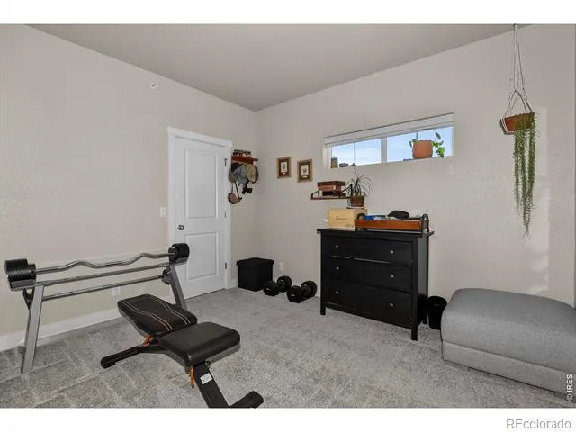 6826 School House Drive #203 Timnath, CO 80547