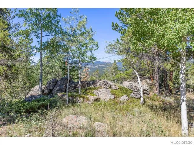 428 Aspen Lane Black Hawk, CO 80422