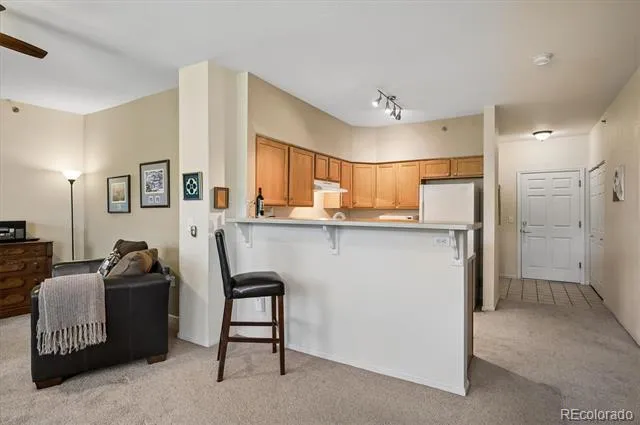 2894 W Riverwalk Circle #B309 Littleton, CO 80123
