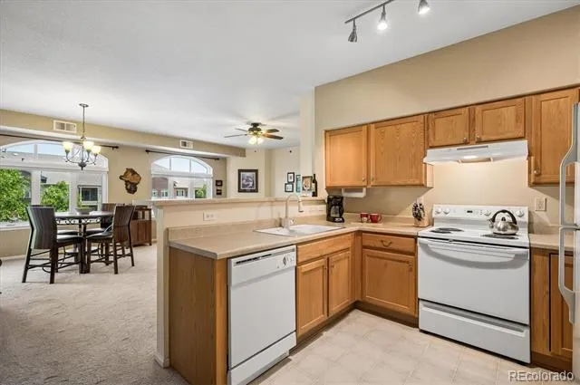 2894 W Riverwalk Circle #B309 Littleton, CO 80123