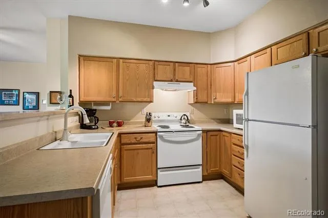 2894 W Riverwalk Circle #B309 Littleton, CO 80123