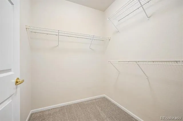 2894 W Riverwalk Circle #B211 Littleton, CO 80123