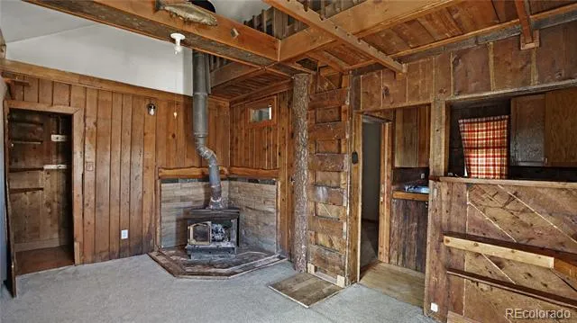2275 Shelton Drive Bailey, CO 80421