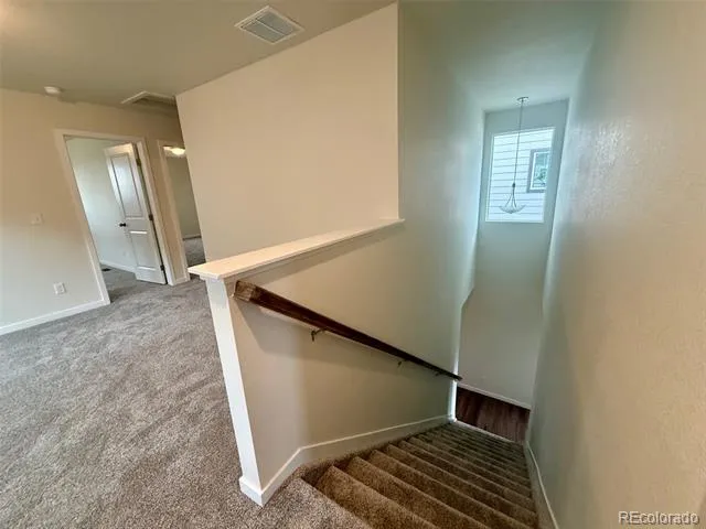 804 Bently Street Watkins, CO 80137