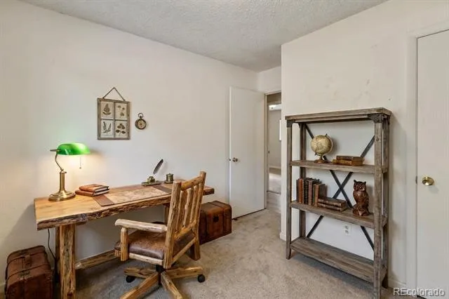 1035 Park View Woodland Park, CO 80863