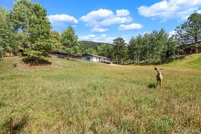 1035 Park View Woodland Park, CO 80863