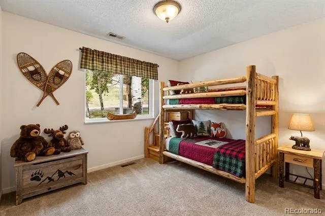 1035 Park View Woodland Park, CO 80863