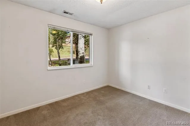 1035 Park View Woodland Park, CO 80863