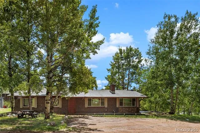1035 Park View Woodland Park, CO 80863