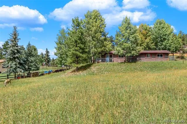 1035 Park View Woodland Park, CO 80863