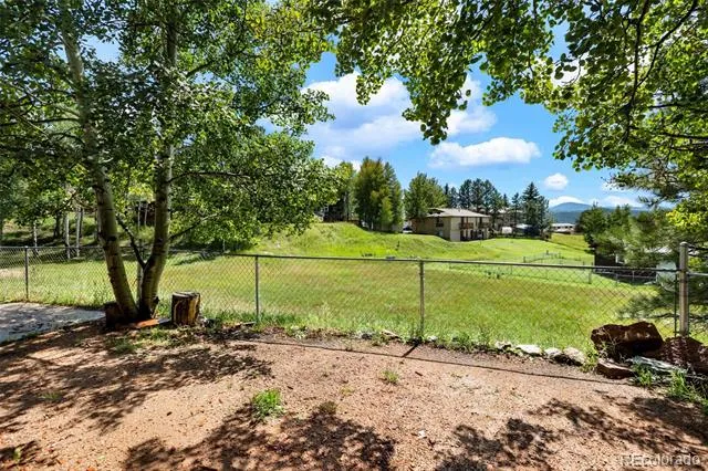 1035 Park View Woodland Park, CO 80863