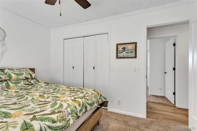255 Divide View Drive Golden, CO 80403