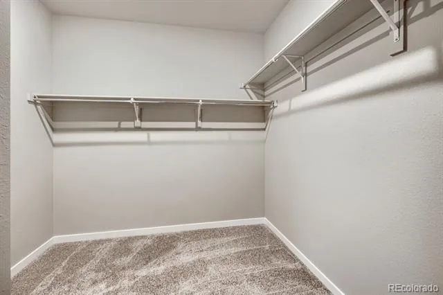 13574 Solaris Street Parker, CO 80134