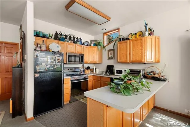 20682 Falcon Wing Road Indian Hills, CO 80454