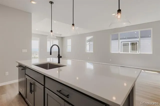 13564 Solaris Street Parker, CO 80134