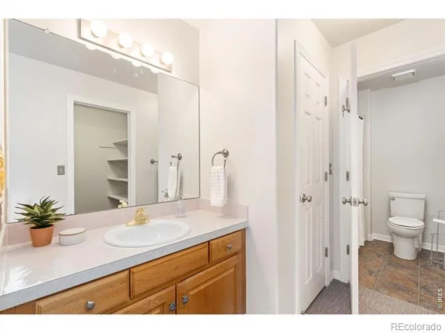 1431 Cactus Court Fort Collins, CO 80525