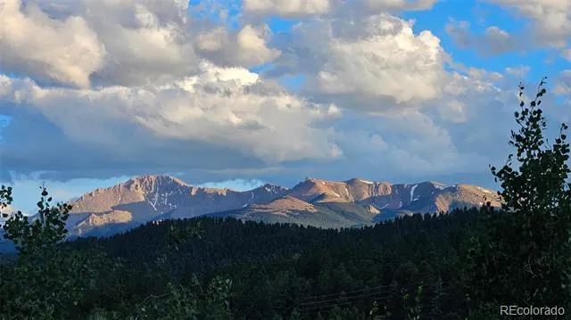 219 Dewell Road Woodland Park, CO 80863