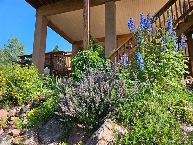219 Dewell Road Woodland Park, CO 80863