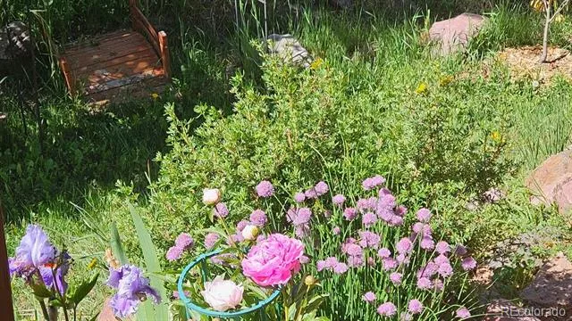 219 Dewell Road Woodland Park, CO 80863