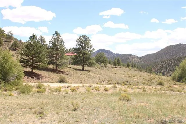 29355 Cr-305 Buena Vista, CO 81211