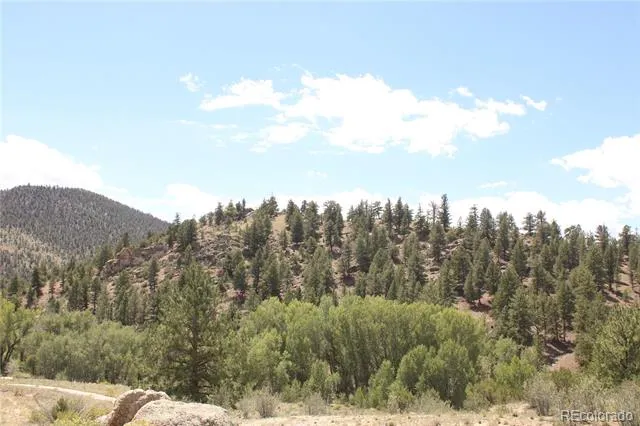 29355 Cr-305 Buena Vista, CO 81211