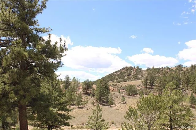 29355 Cr-305 Buena Vista, CO 81211