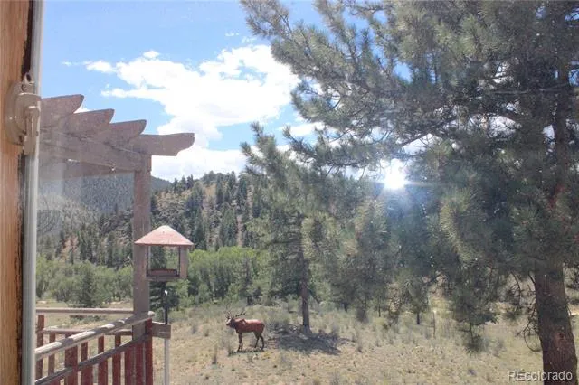 29355 Cr-305 Buena Vista, CO 81211