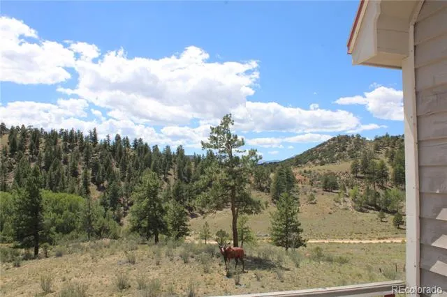 29355 Cr-305 Buena Vista, CO 81211