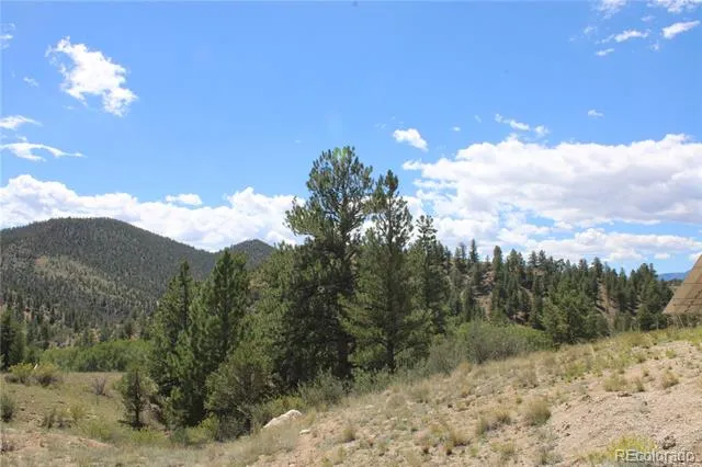29355 Cr-305 Buena Vista, CO 81211