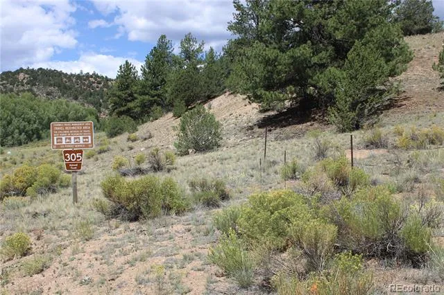 29355 Cr-305 Buena Vista, CO 81211