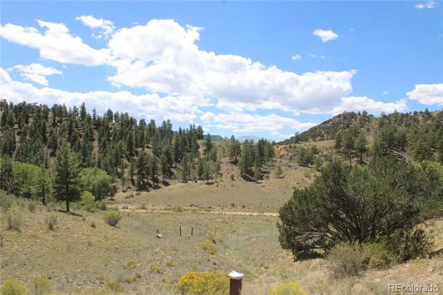 29355 Cr-305 Buena Vista, CO 81211