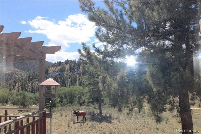 29355 Cr-305 Buena Vista, CO 81211