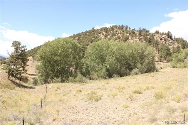 29355 Cr-305 Buena Vista, CO 81211