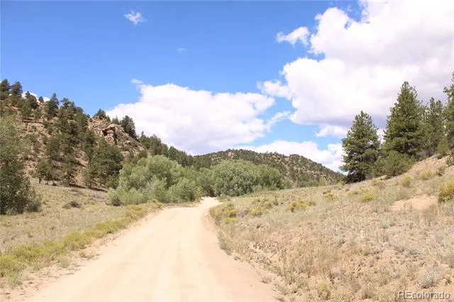 29355 Cr-305 Buena Vista, CO 81211