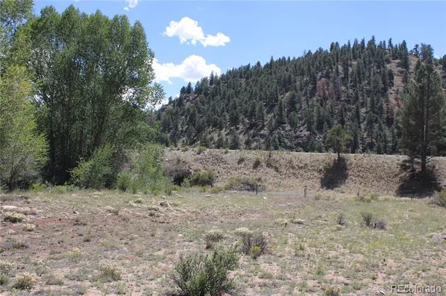 29355 Cr-305 Buena Vista, CO 81211