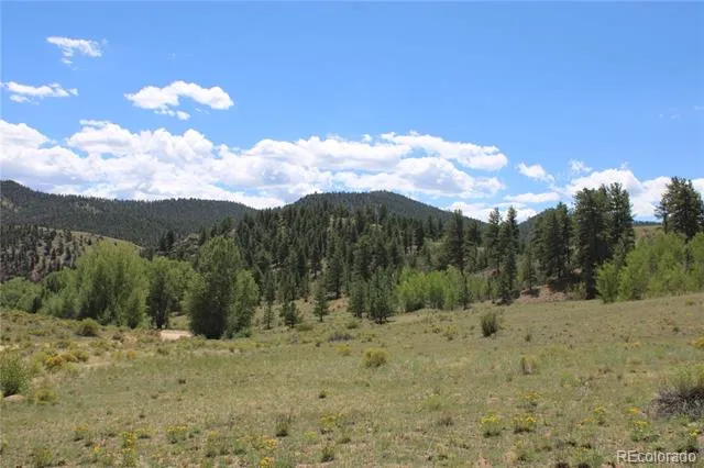 29355 Cr-305 Buena Vista, CO 81211
