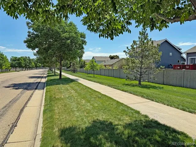 3268 White Buffalo Drive Wellington, CO 80549