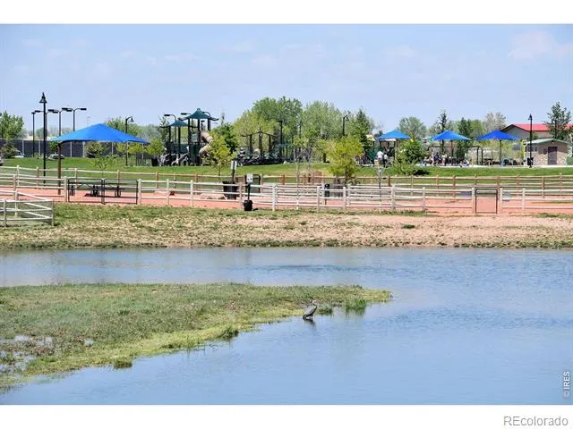 3268 White Buffalo Drive Wellington, CO 80549