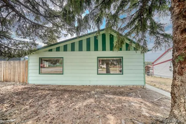 215 Elm Street Leadville, CO 80461