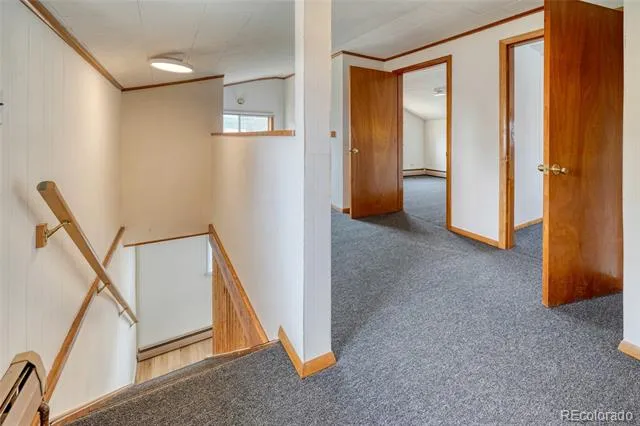215 Elm Street Leadville, CO 80461
