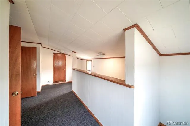 215 Elm Street Leadville, CO 80461