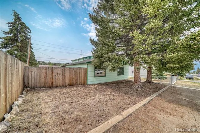 215 Elm Street Leadville, CO 80461