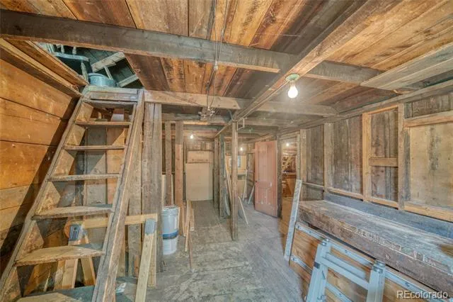 215 Elm Street Leadville, CO 80461