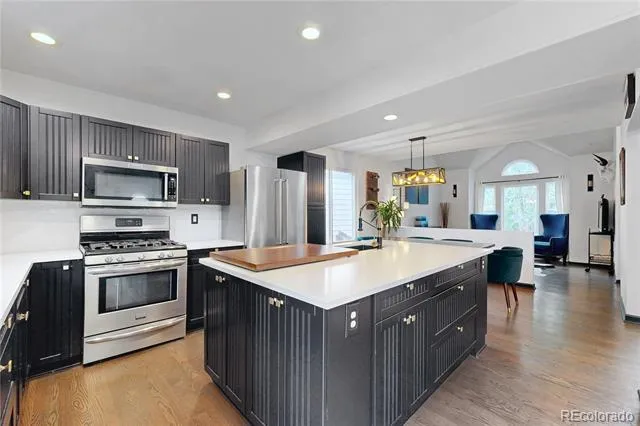 17206 Niwot Place Parker, CO 80134