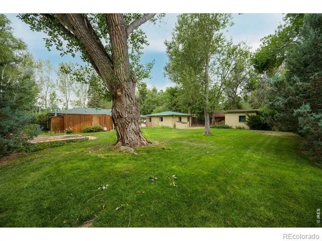 3400 Orchard Drive Laporte, CO 80535