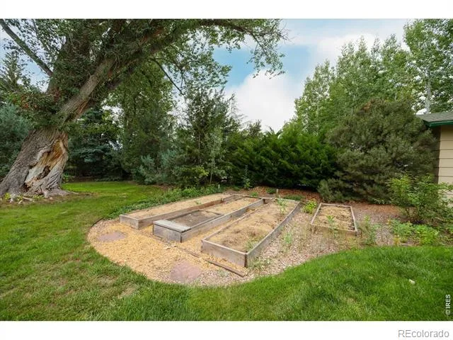 3400 Orchard Drive Laporte, CO 80535