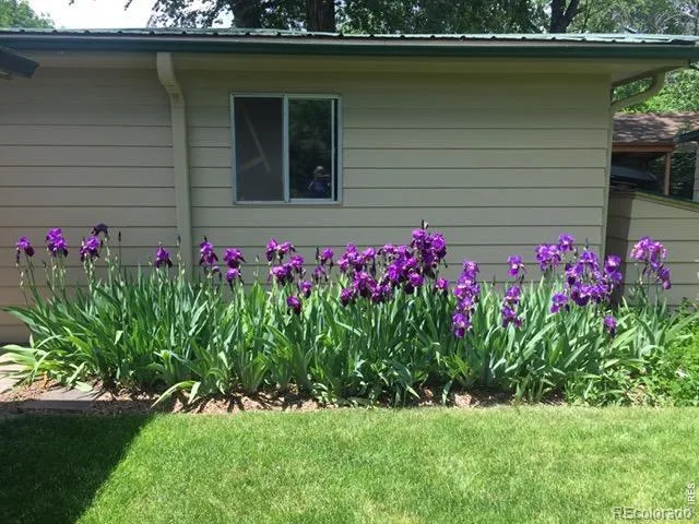 3400 Orchard Drive Laporte, CO 80535